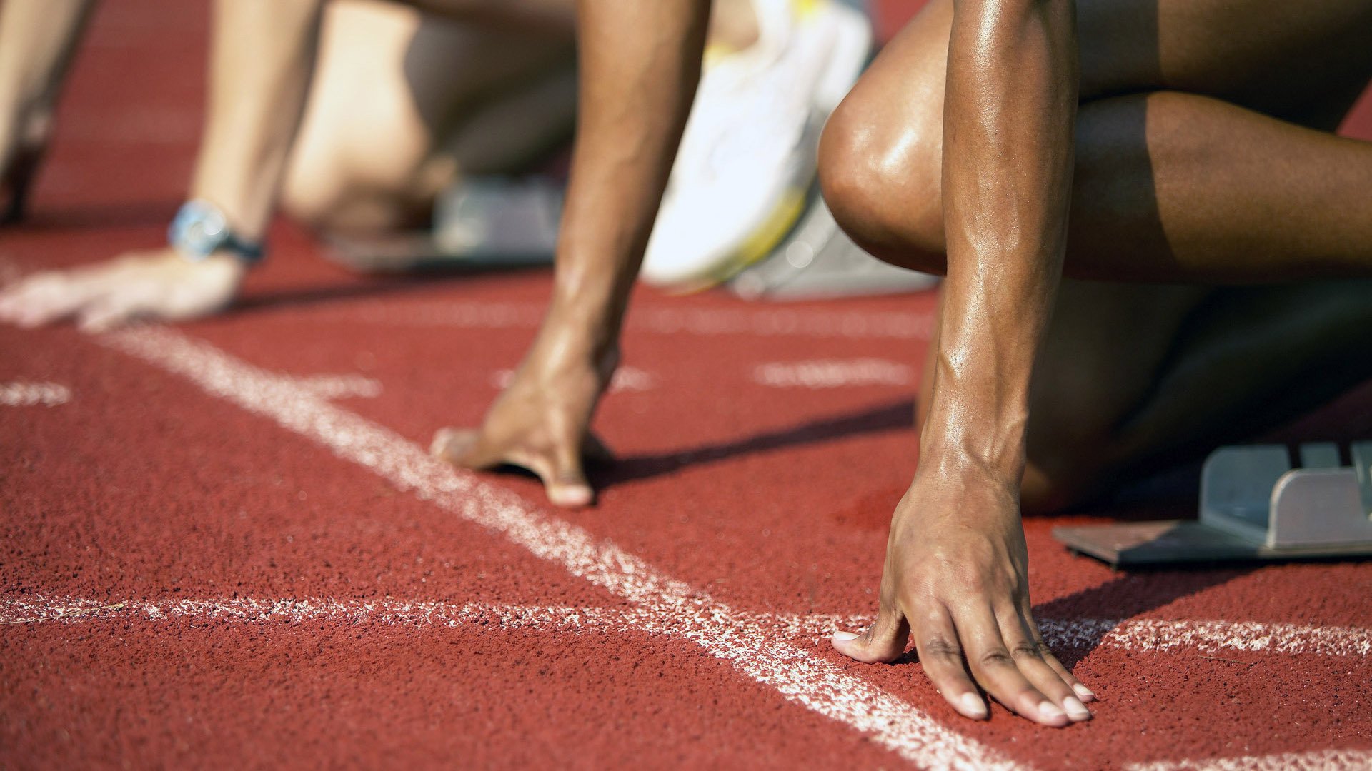 未来趋势：联盟的“绿色计划”将引领体育环保新风尚，绿色联盟应用体验标准